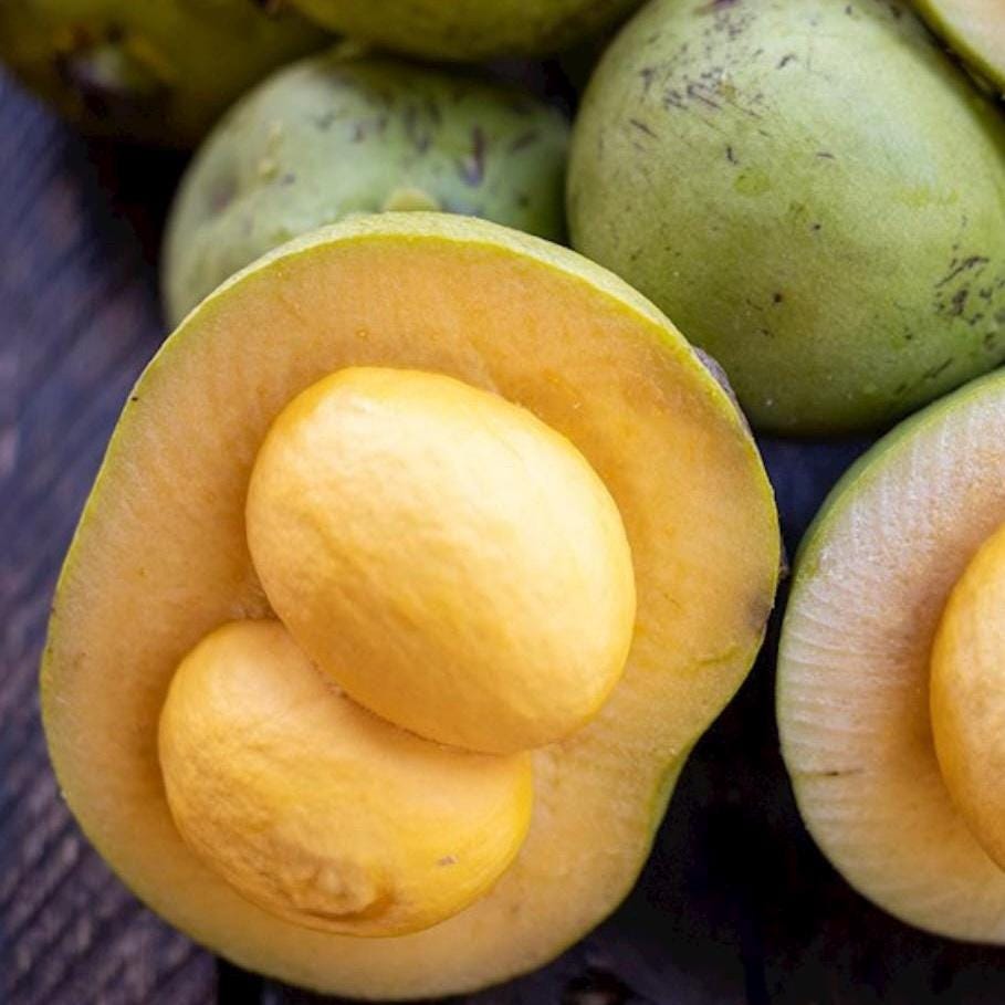 Pequi Fruit Oil, Organic, Cold Pressed, Unrefined, Natural
