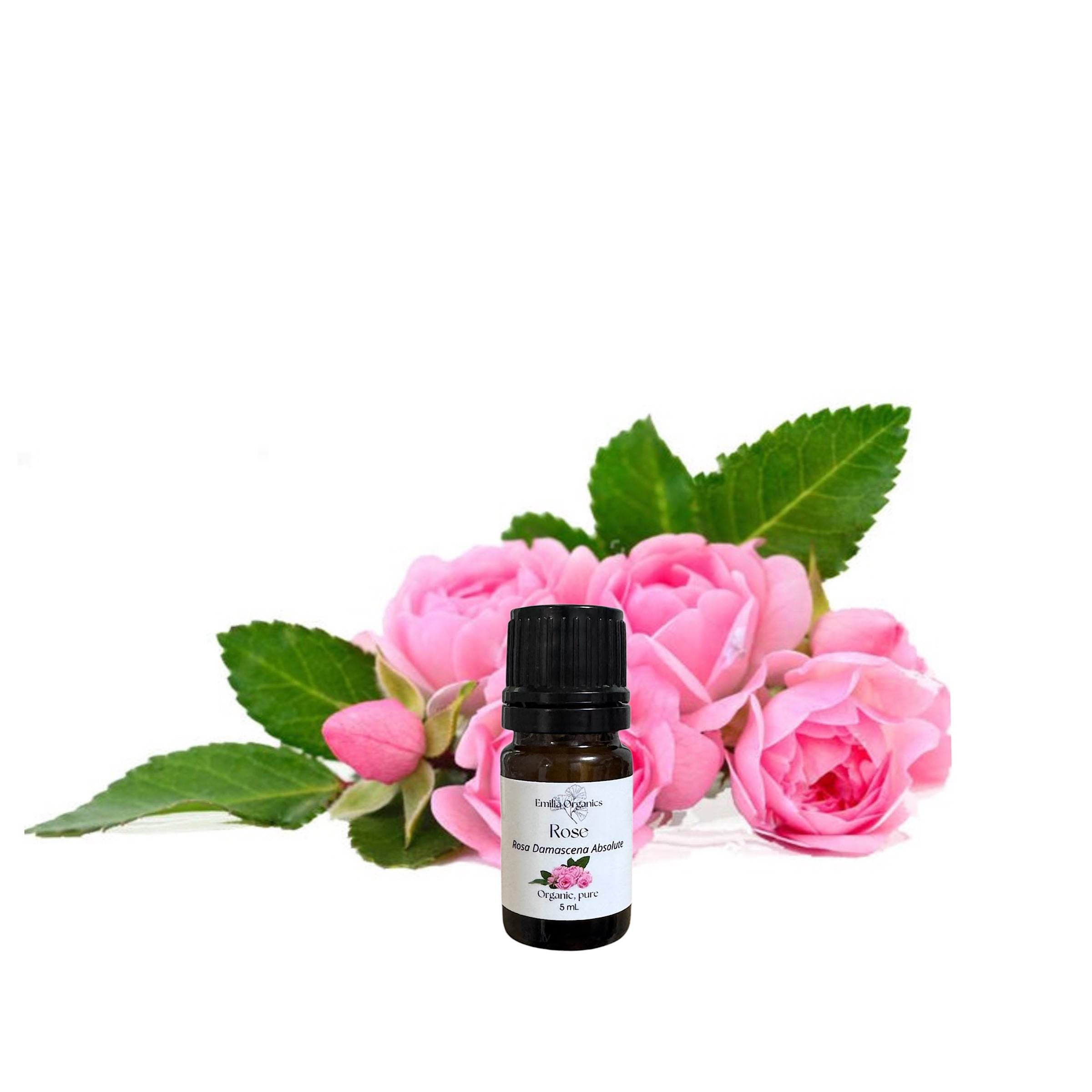 Rose Absolute Oil, Bulgarian Rose Otto, Organic, 100% Pure, Natural