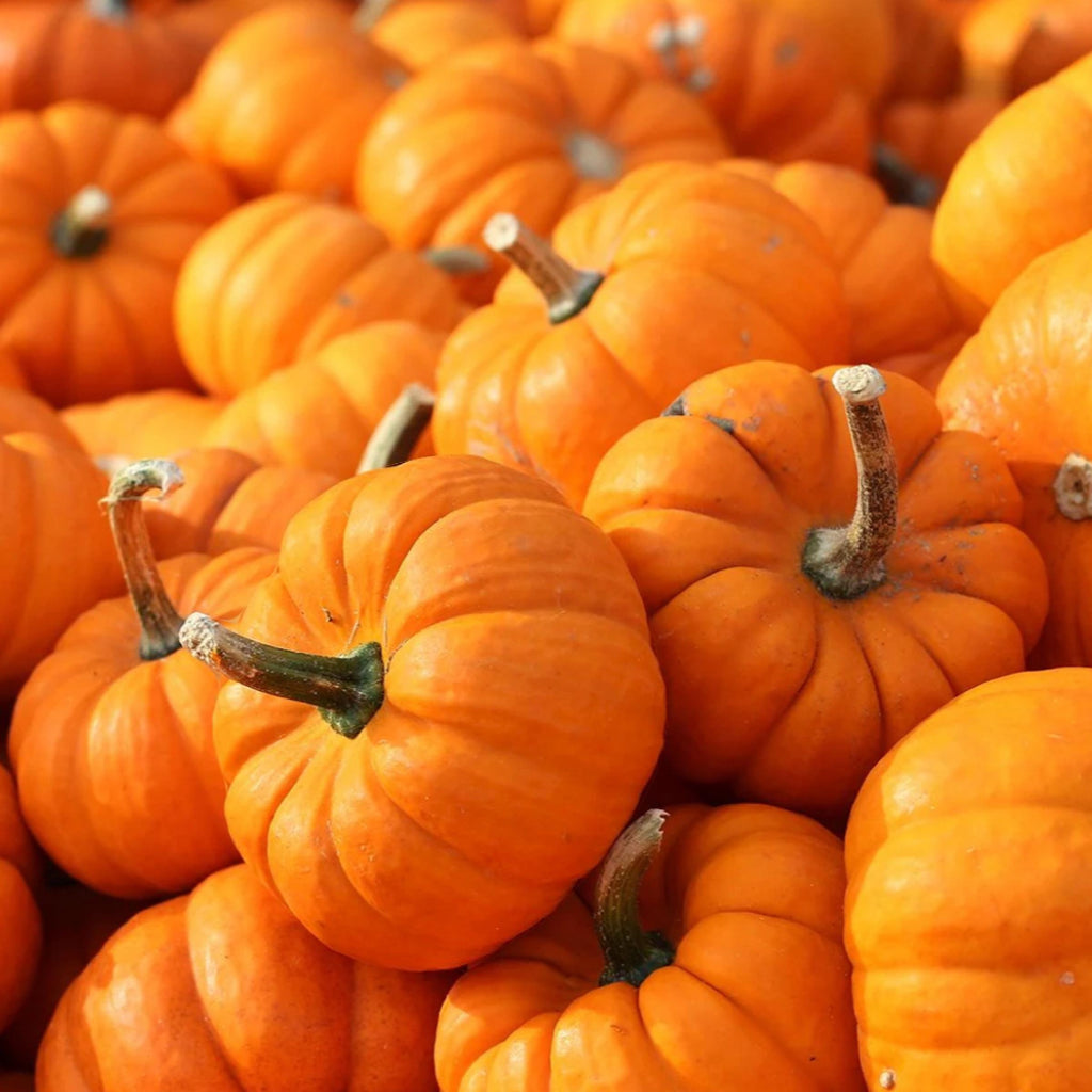 Pumpkin Seed Oil, Organic, Cold Pressed, Unrefined, Natural