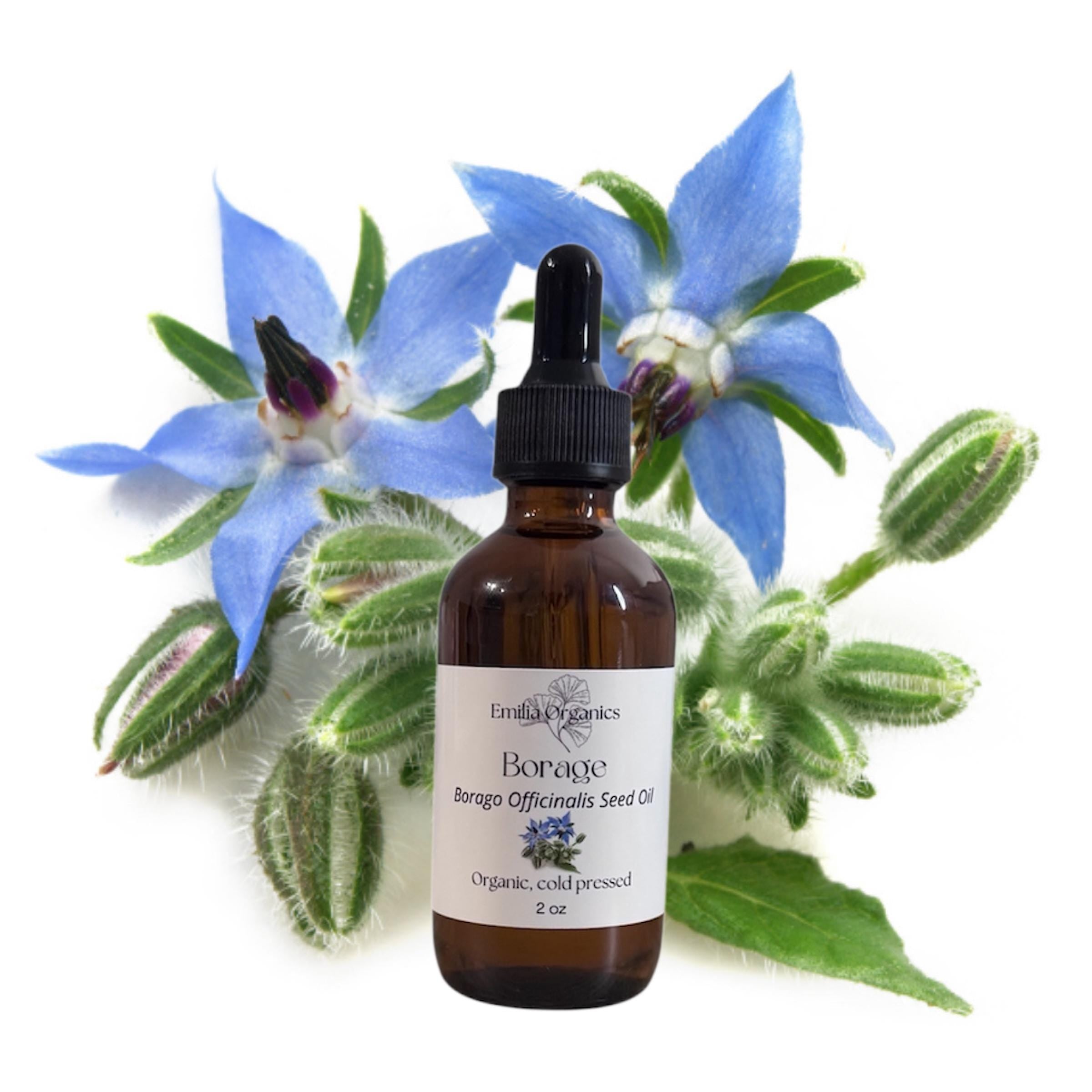 Borage Seed Oil, Organic, Cold Pressed, Unrefined, Natural