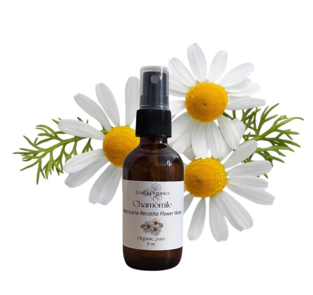 German Chamomile Hydrosol, Organic, Pure, Natural