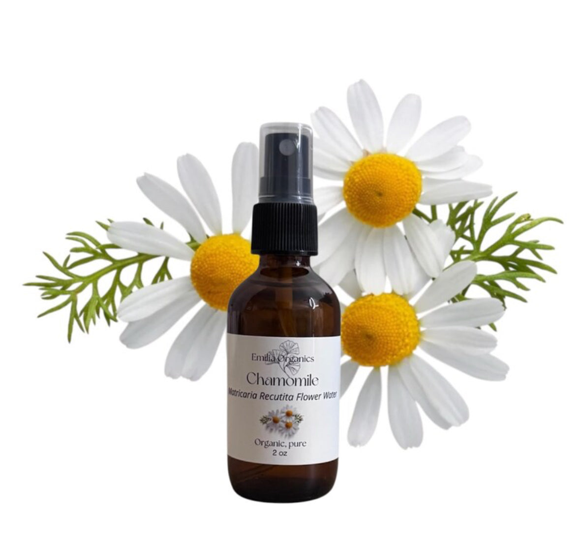 German Chamomile Hydrosol, Organic, Pure, Natural