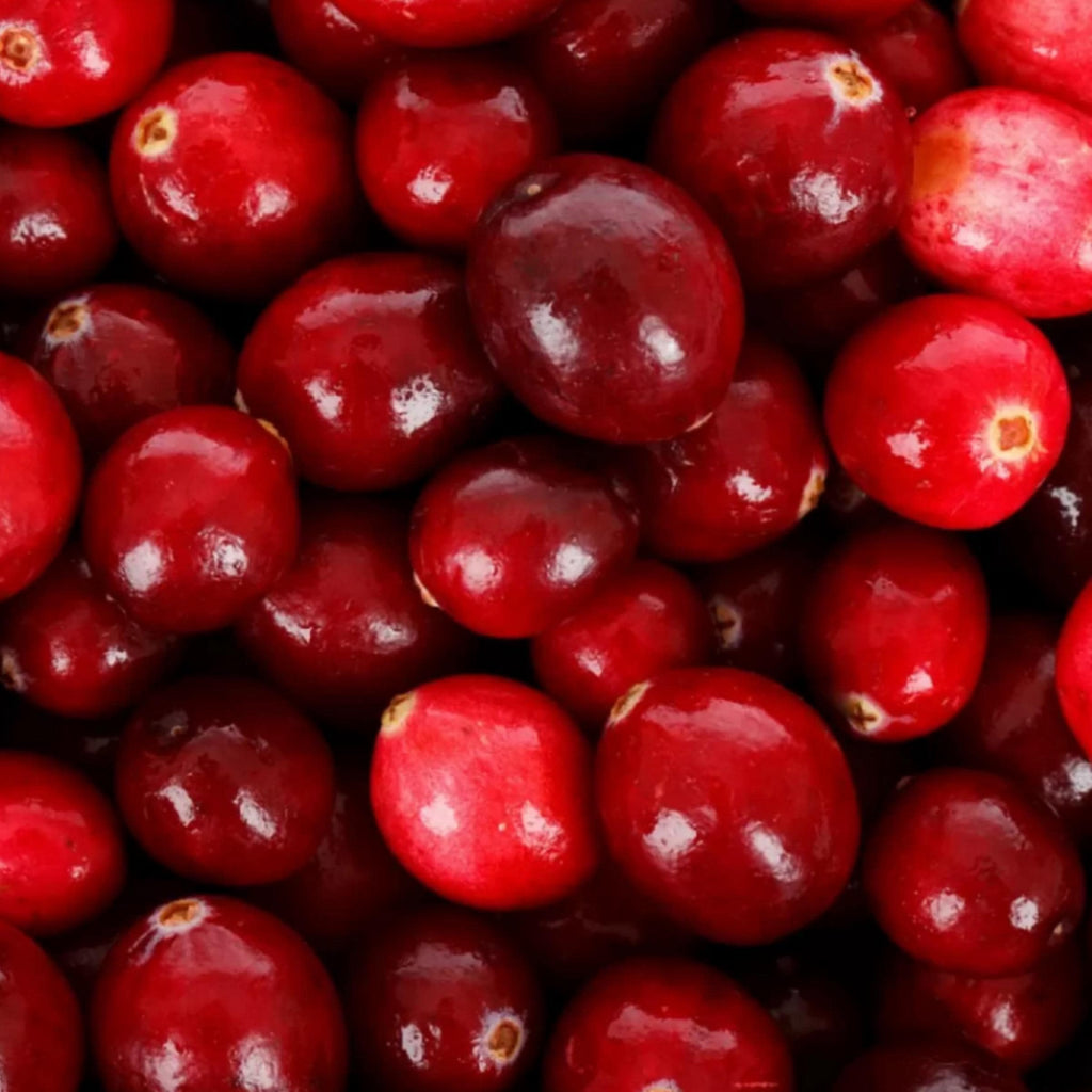 Cranberry Seed Oil, Organic, Cold Pressed, Unrefined, Natural