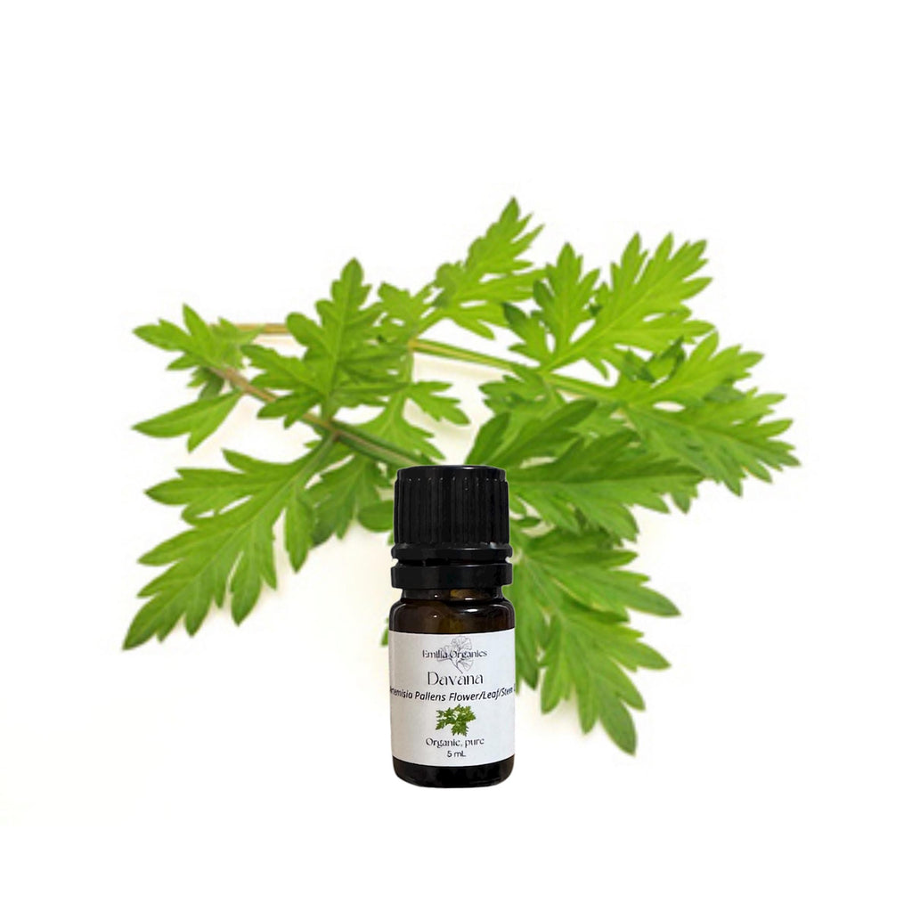 Davana Essential Oil, Organic, 100% Pure, Natural