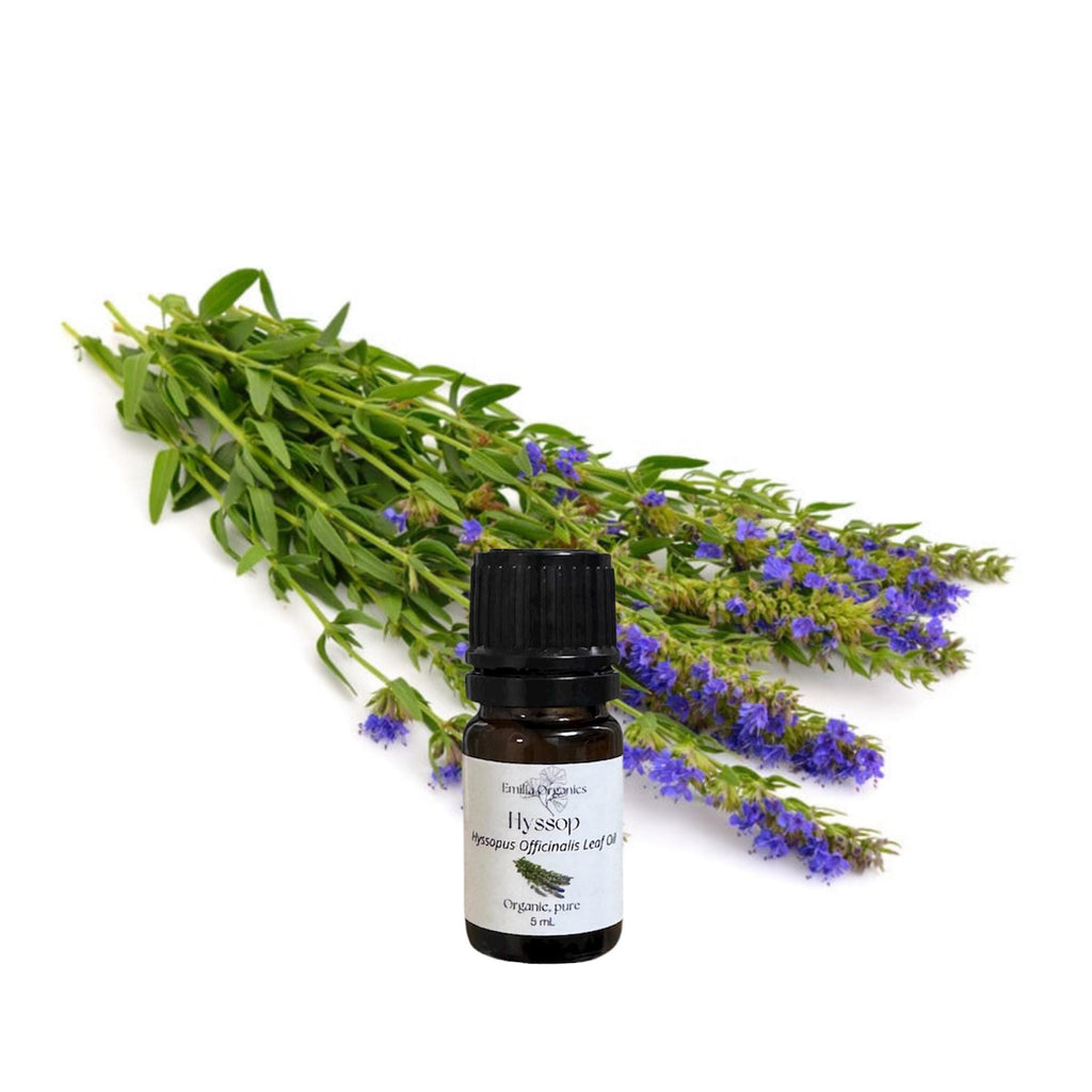 Hyssop Essential Oil, Organic, 100% Pure, Natural