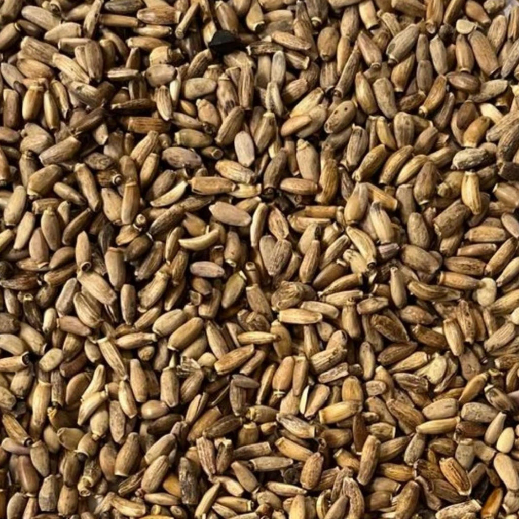 Milk Thistle Seed Oil, Organic, Cold Pressed, Unrefined, Natural