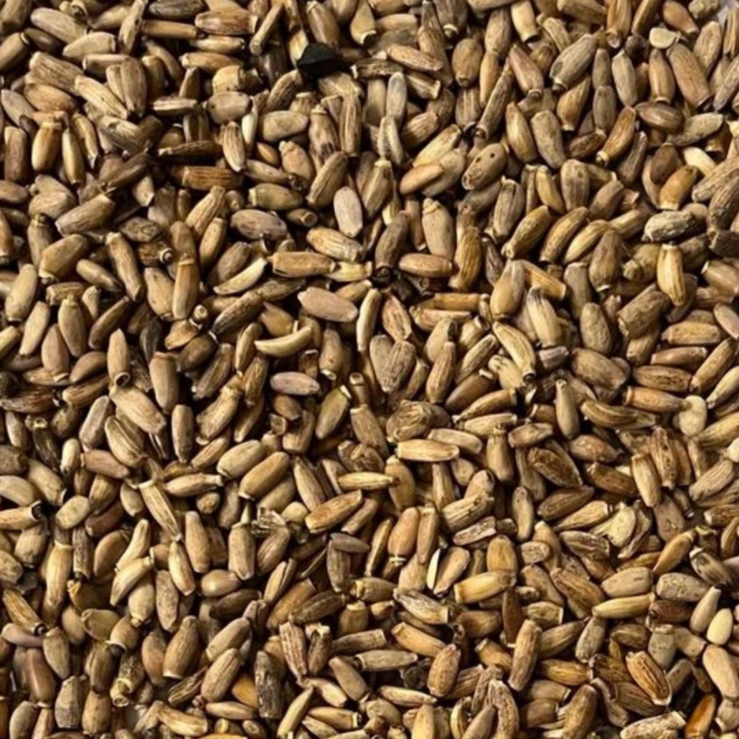 Milk Thistle Seed Oil, Organic, Cold Pressed, Unrefined, Natural