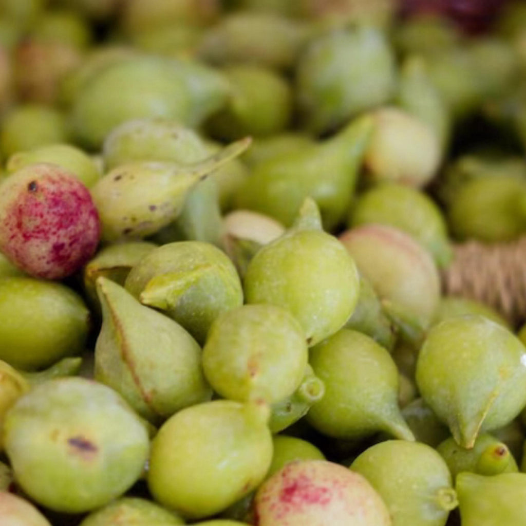 Kakadu Plum Seed Oil, Organic, Cold Pressed, Unrefined, Natural