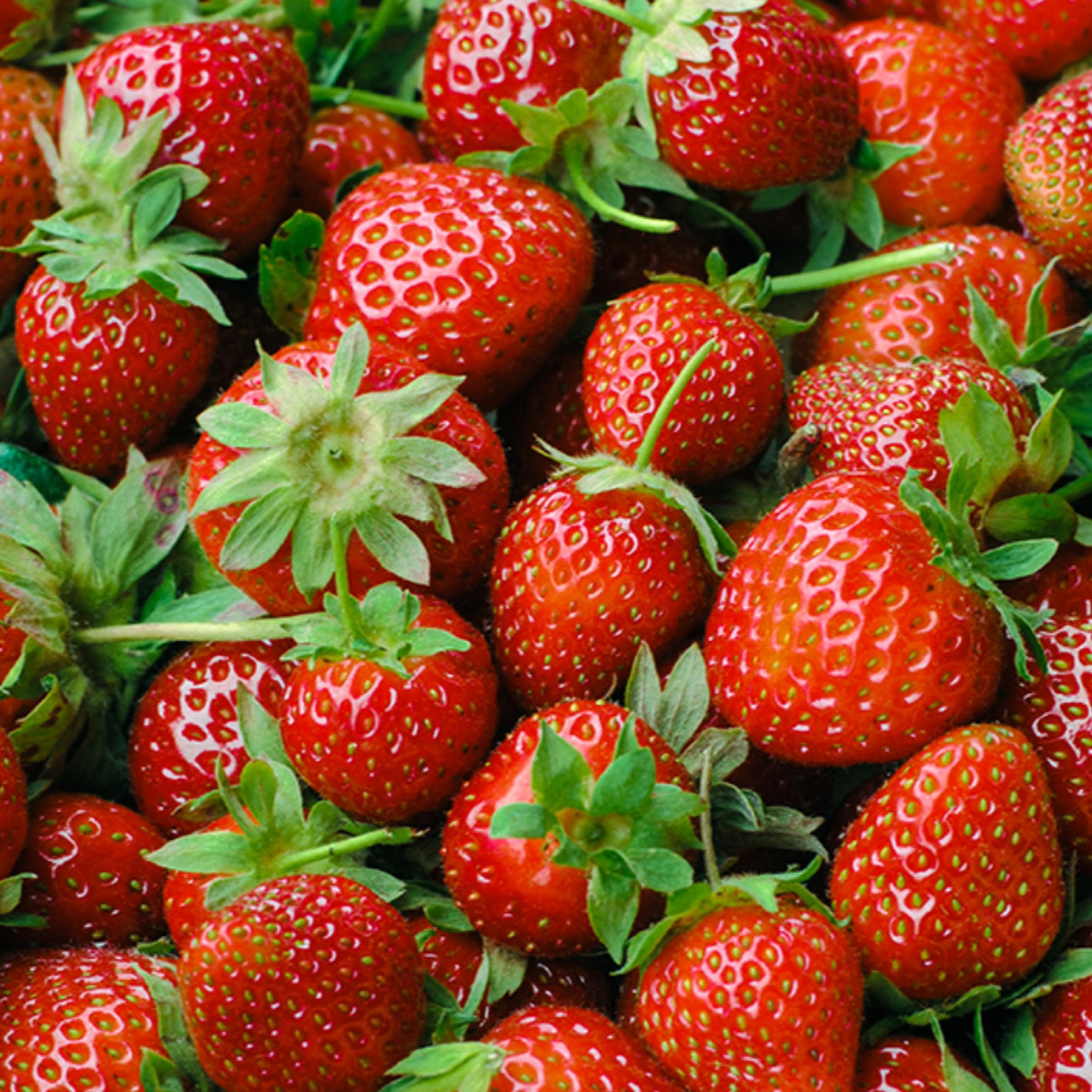 Strawberry Seed Oil, Organic, Cold Pressed, Unrefined, Natural