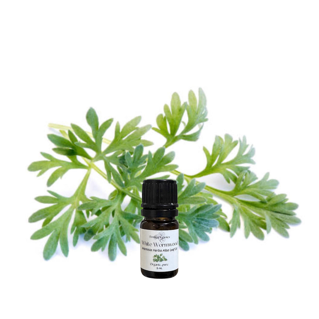 White Wormwood Essential Oil, Armoise, Organic, 100% Pure, Natural