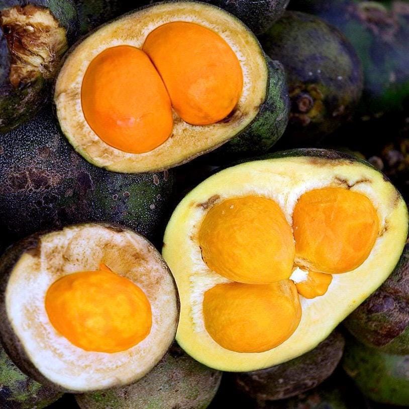 Pequi Fruit Oil, Organic, Cold Pressed, Unrefined, Natural