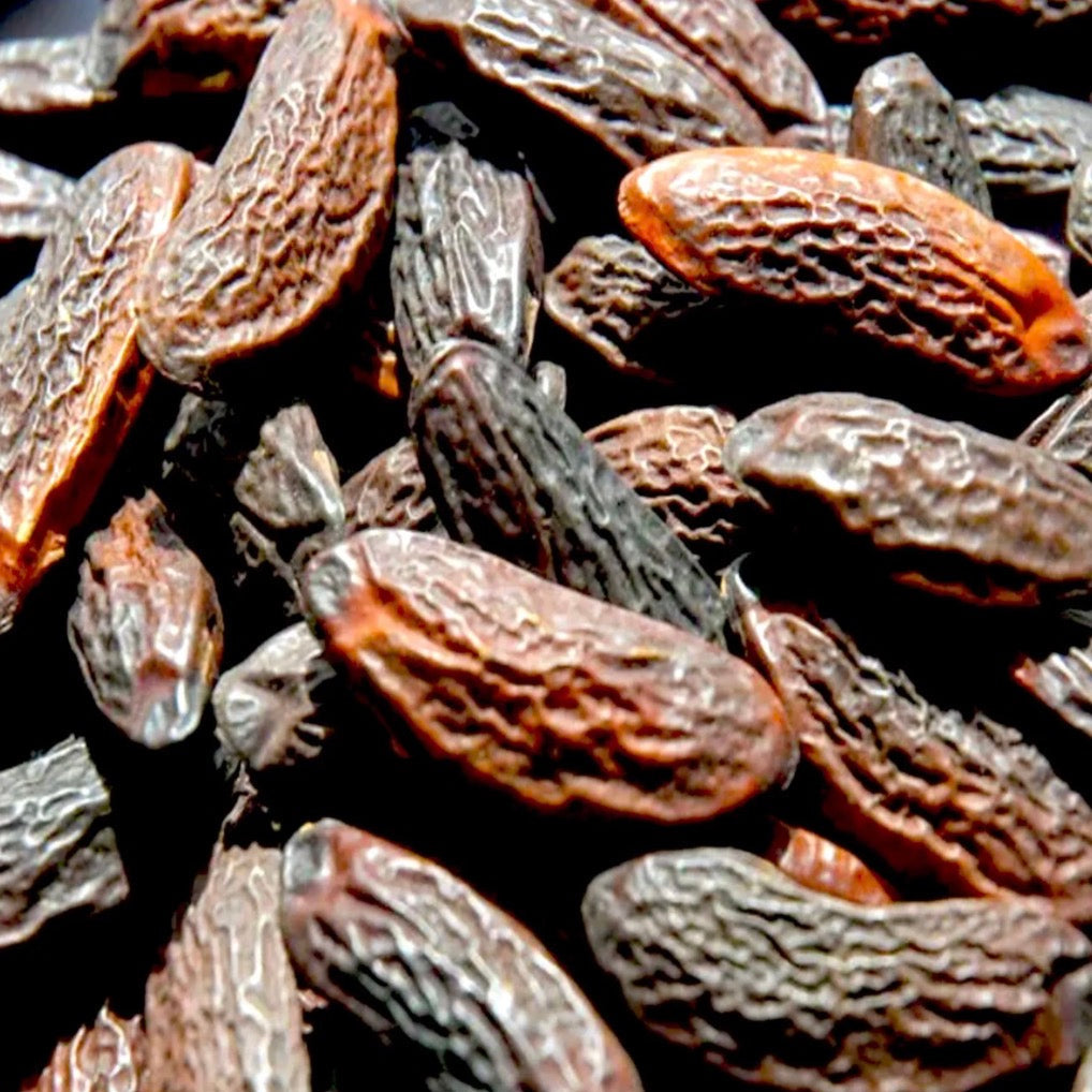 Tonka Bean Absolute Oil, Organic, 100% Pure, Natural