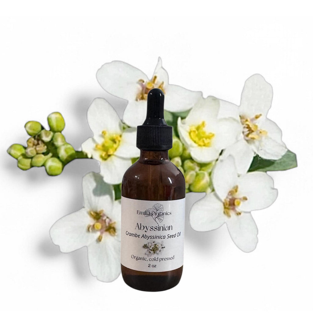 Abyssinian Seed Oil, Organic, Cold Pressed, Unrefined, Natural