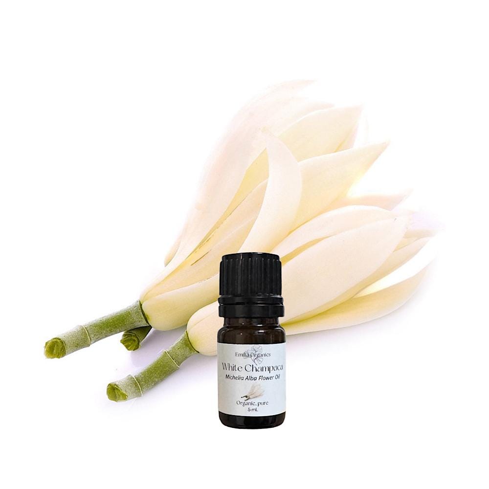 White Champaca Essential Oil, Organic, 100% Pure, Natural