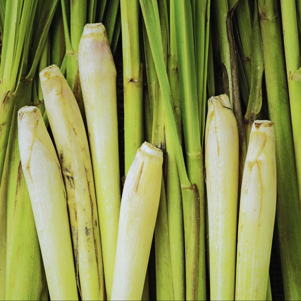 Lemongrass Essential Oil, Organic, 100% Pure, Natural