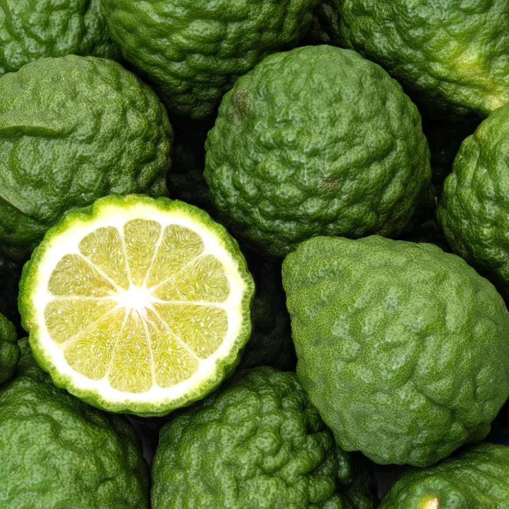 Bergamot Essential Oil, Bergapten Free, Organic, Pure, Natural