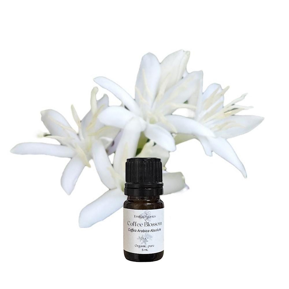 Coffee Blossom Absolute, Organic, 100% Pure, Natural