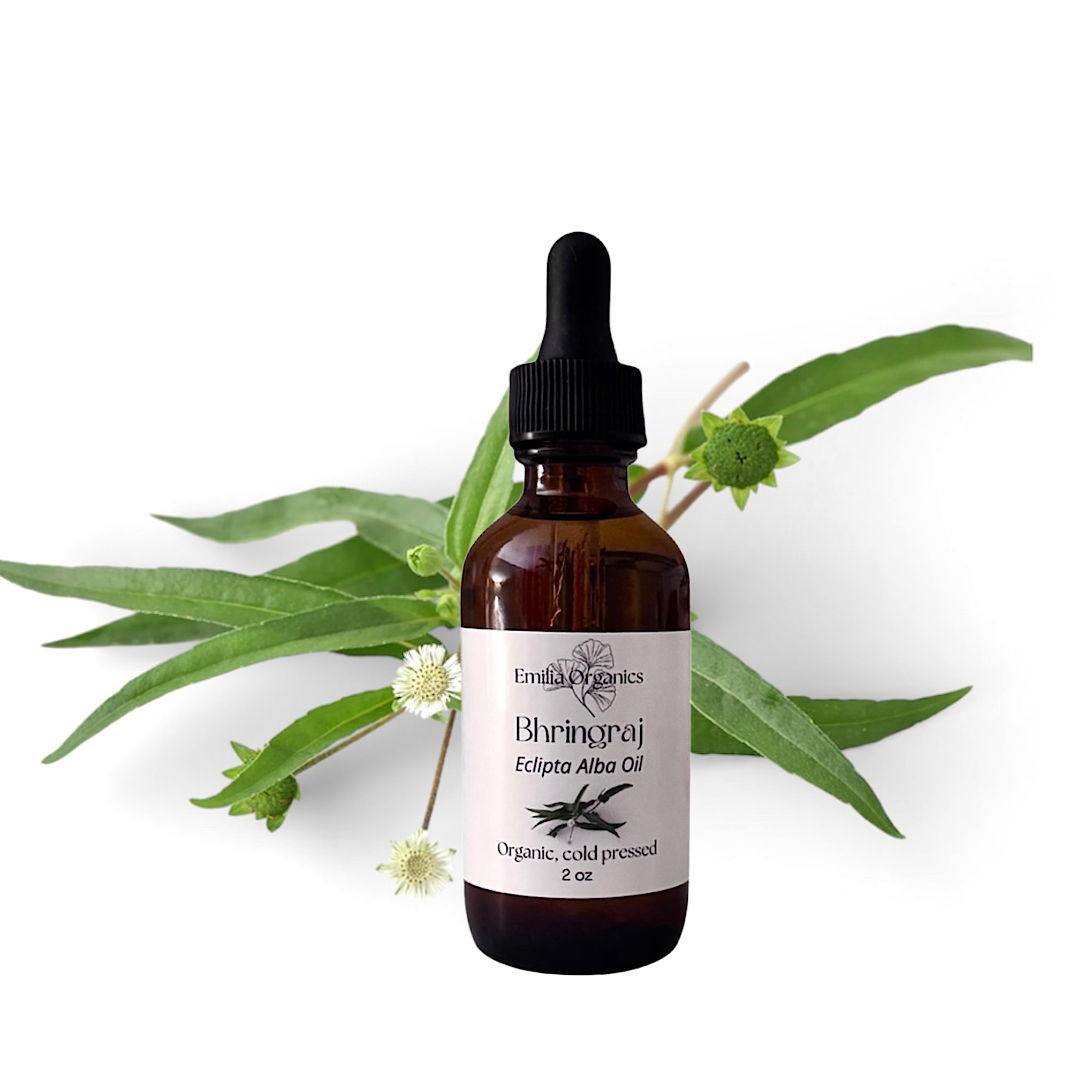 Bhringraj Oil, Organic, Cold Pressed, Unrefined, Natural