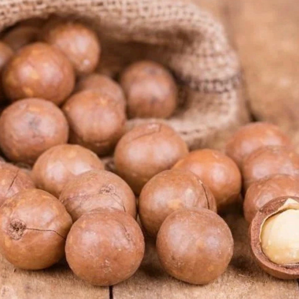 Macadamia Nut Oil, Organic, Cold Pressed, Unrefined, Natural