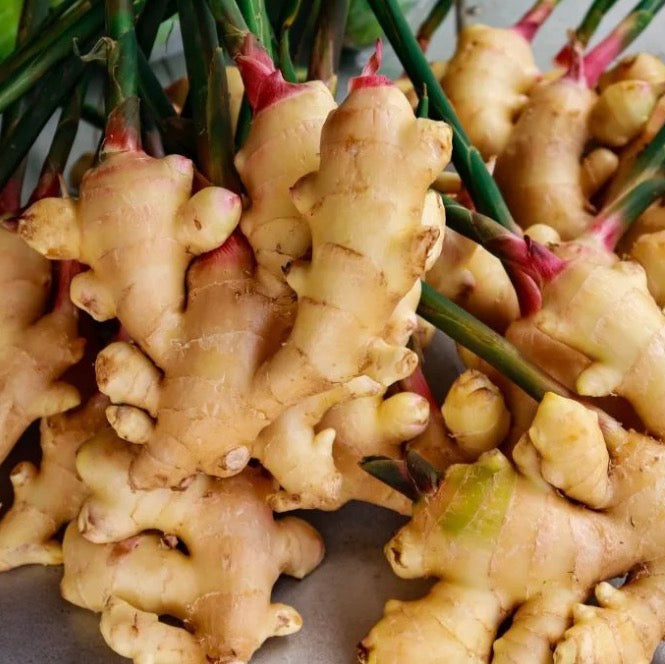 Ginger Essential Oil, Organic, 100% Pure, Natural