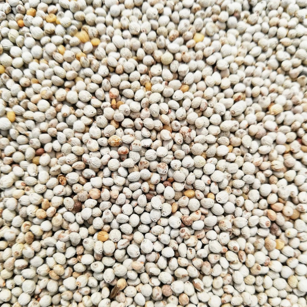 Perilla Seed Oil, Organic, Cold Pressed, Unrefined, Natural
