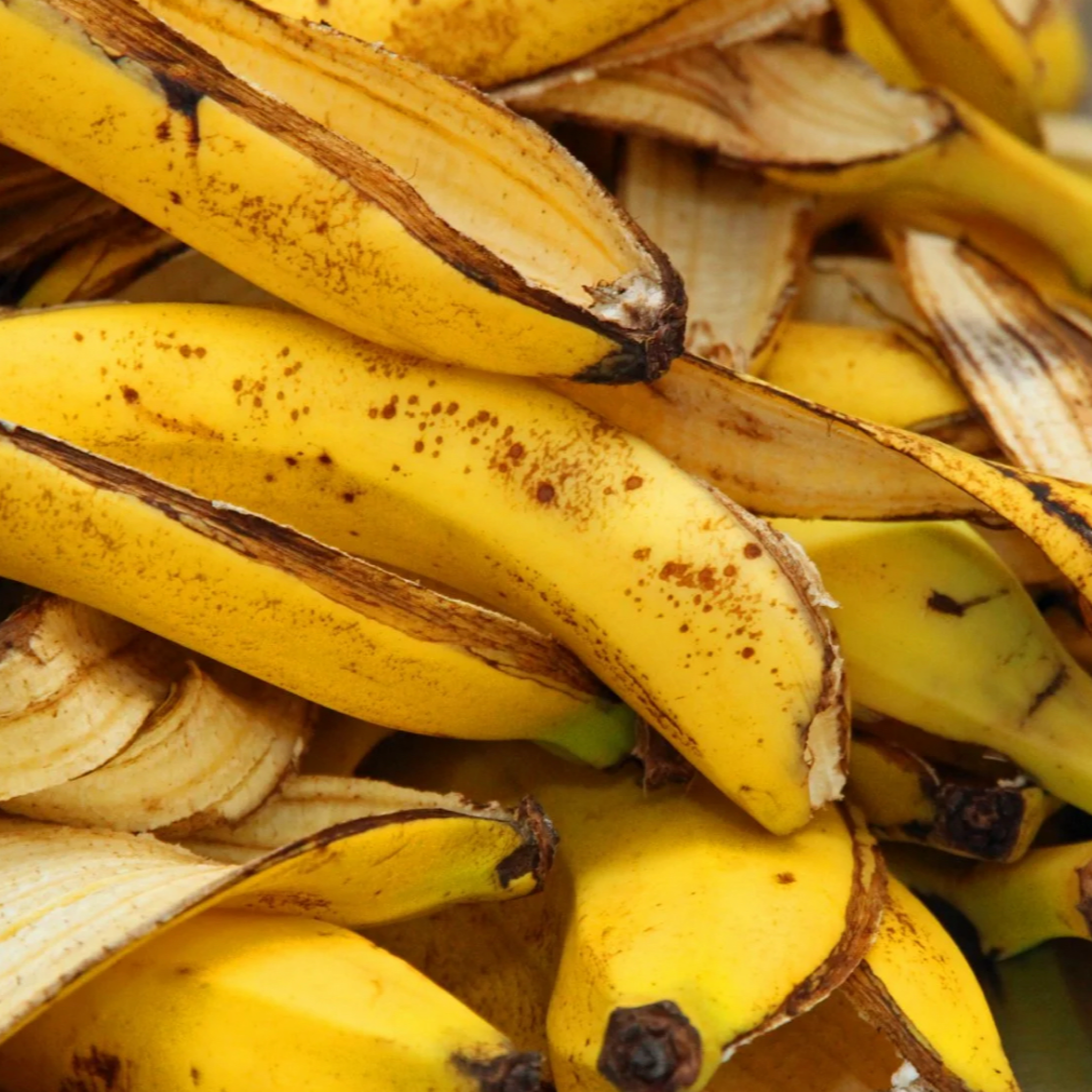 Banana Infused Oil, Organic, Cold Pressed, Unrefined, Natural