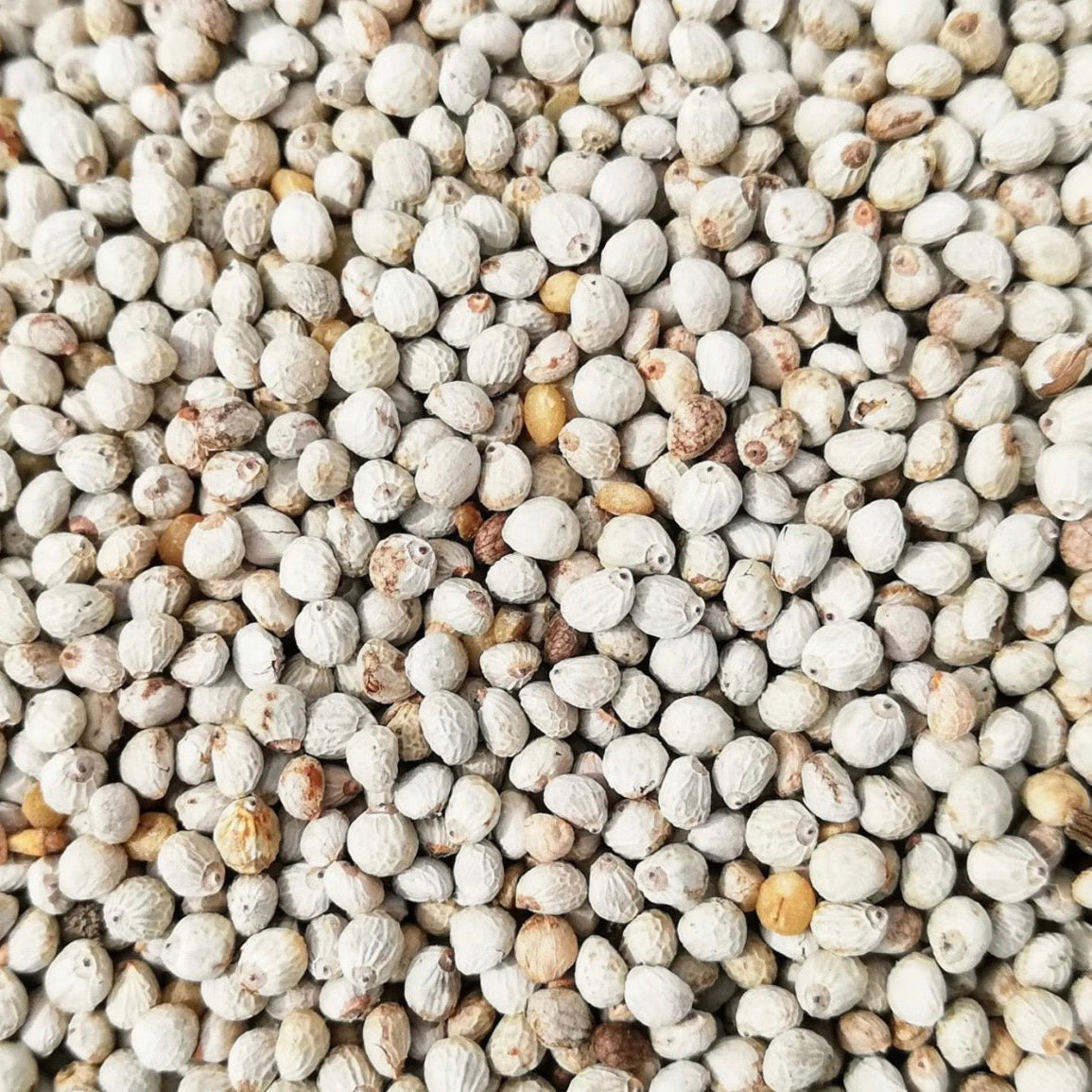 Perilla Seed Oil, Organic, Cold Pressed, Unrefined, Natural