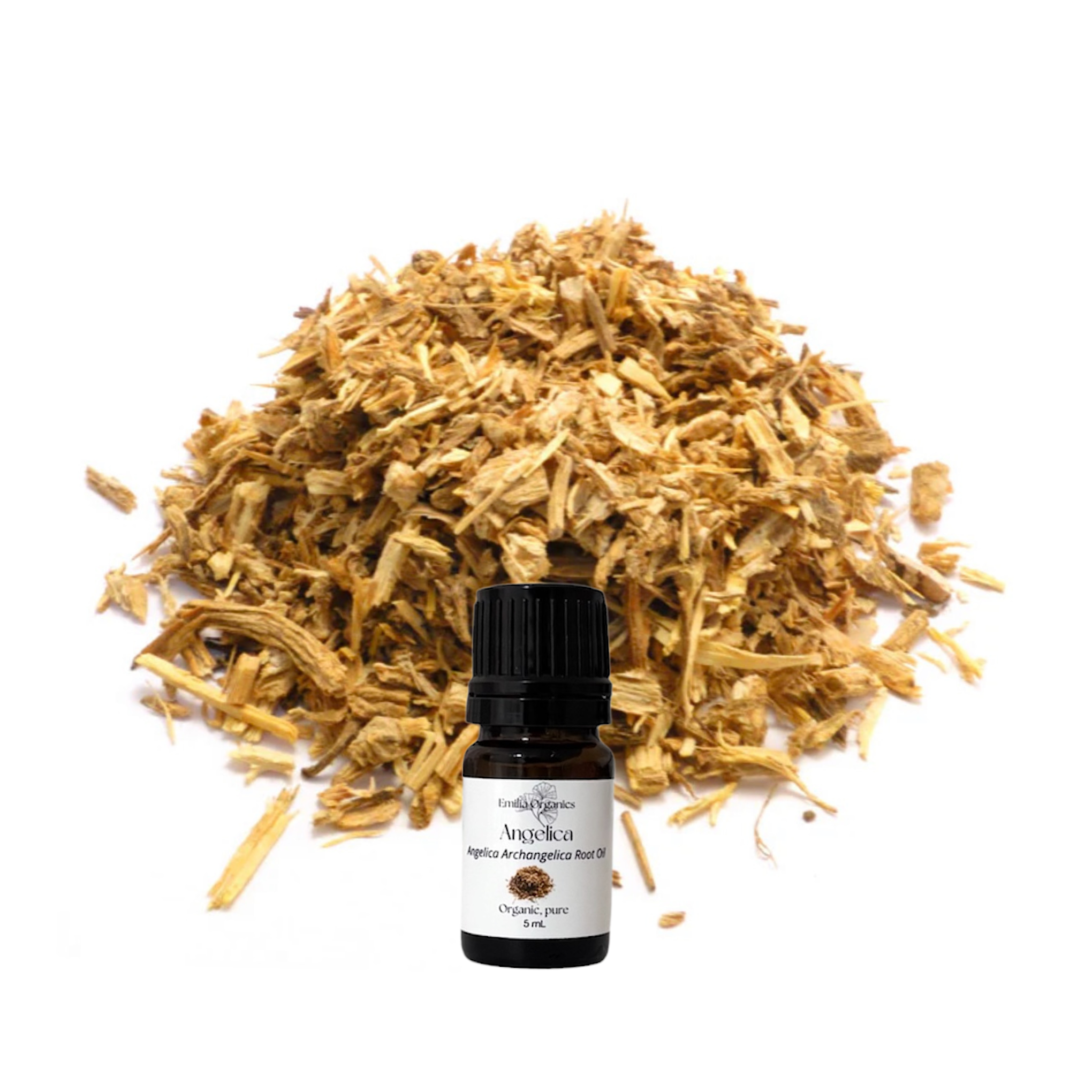 Angelica Root Essential Oil, Organic, 100% Pure, Natural