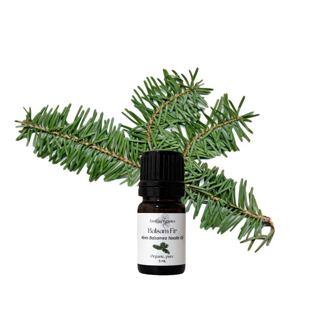 Balsam Fir Essential Oil, Organic, 100% Pure, Natural