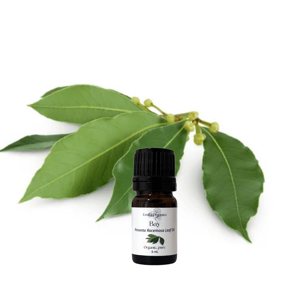 Bay Leaf Essential Oil, Organic, 100% Pure, Natural