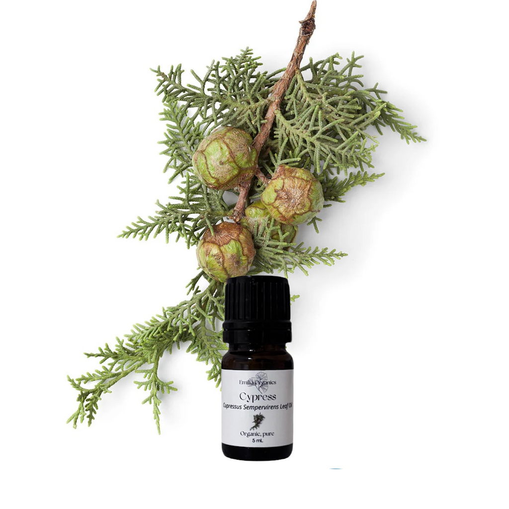 Cypress Essential Oil, Organic, 100% Pure, Natural