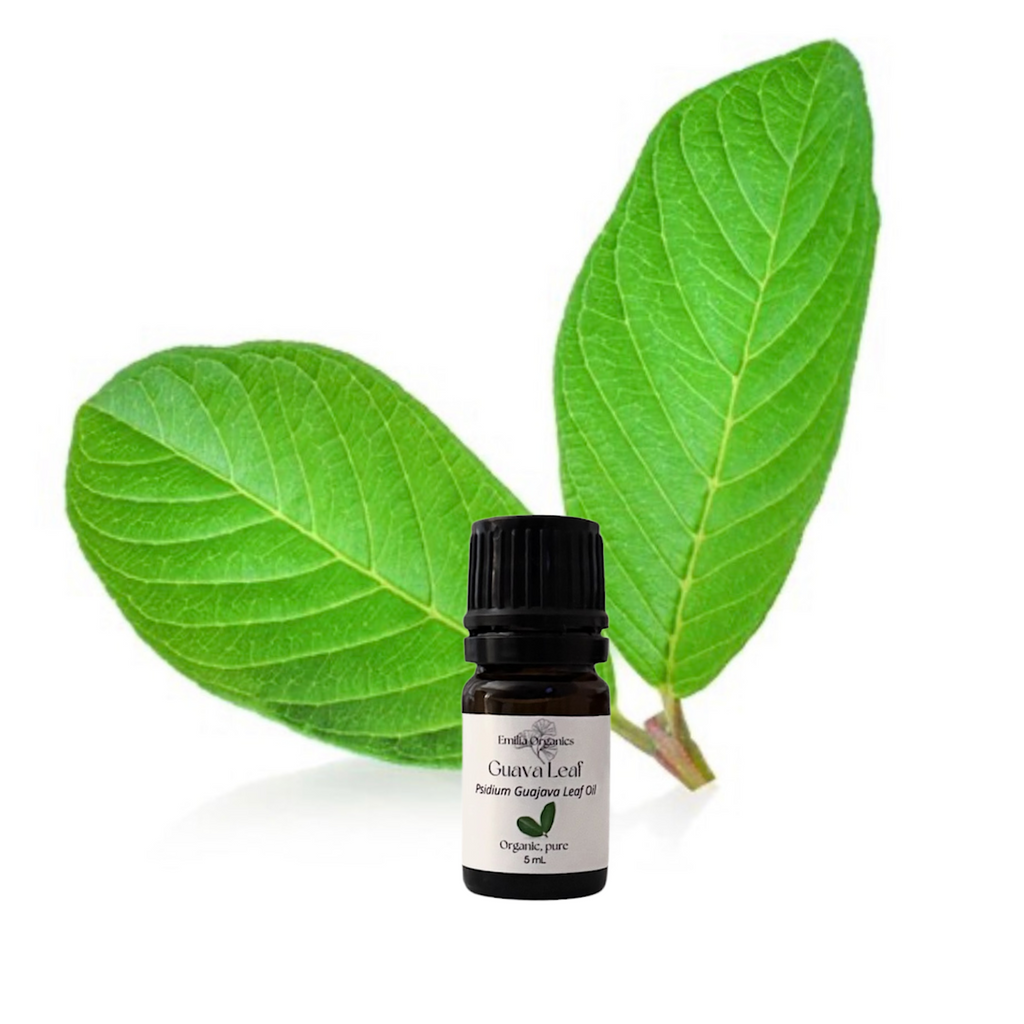 Guava Leaf Essential Oil, Organic, 100% Pure, Natural