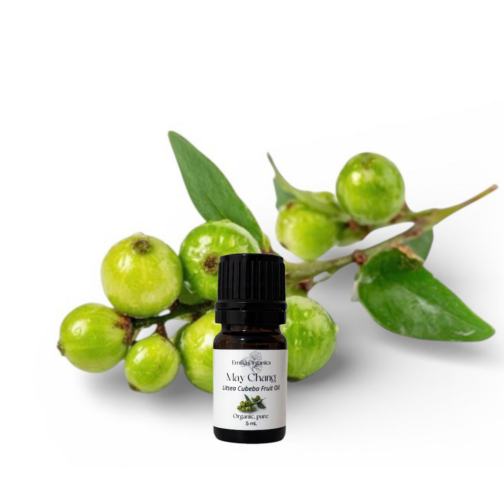 May Chang Essential Oil, Organic, 100% Pure, Natural