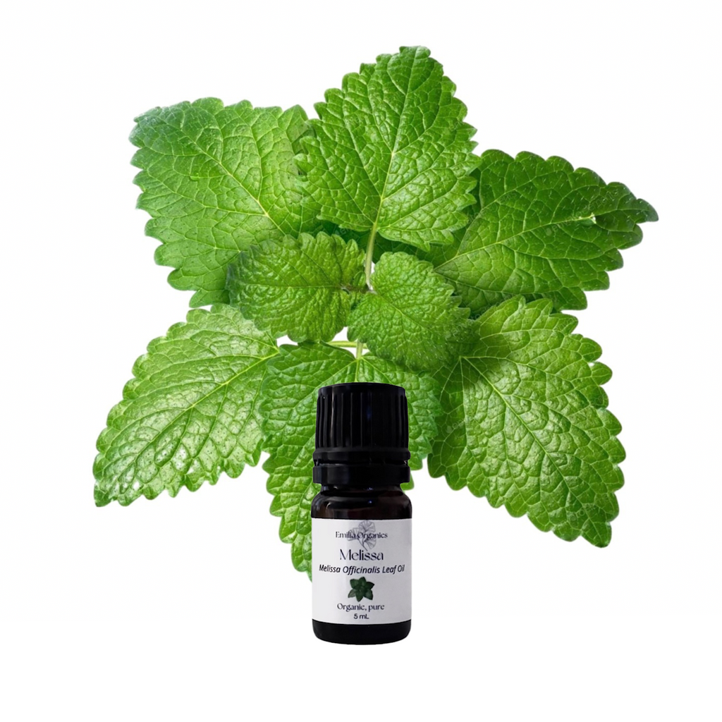 Melissa Essential Oil, Organic, 100% Pure, Natural