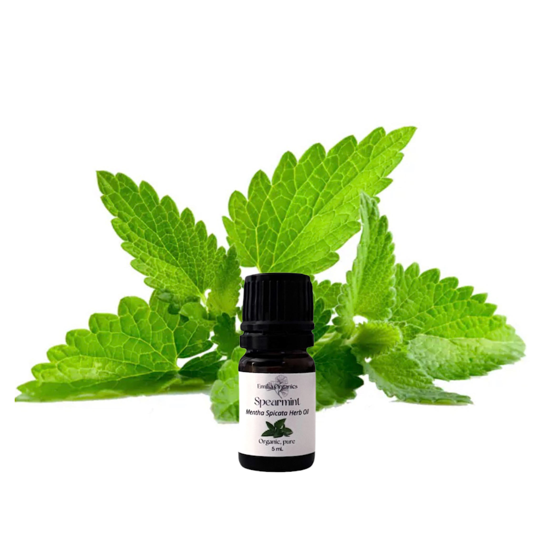 Spearmint Essential Oil, Organic, 100% Pure, Natural