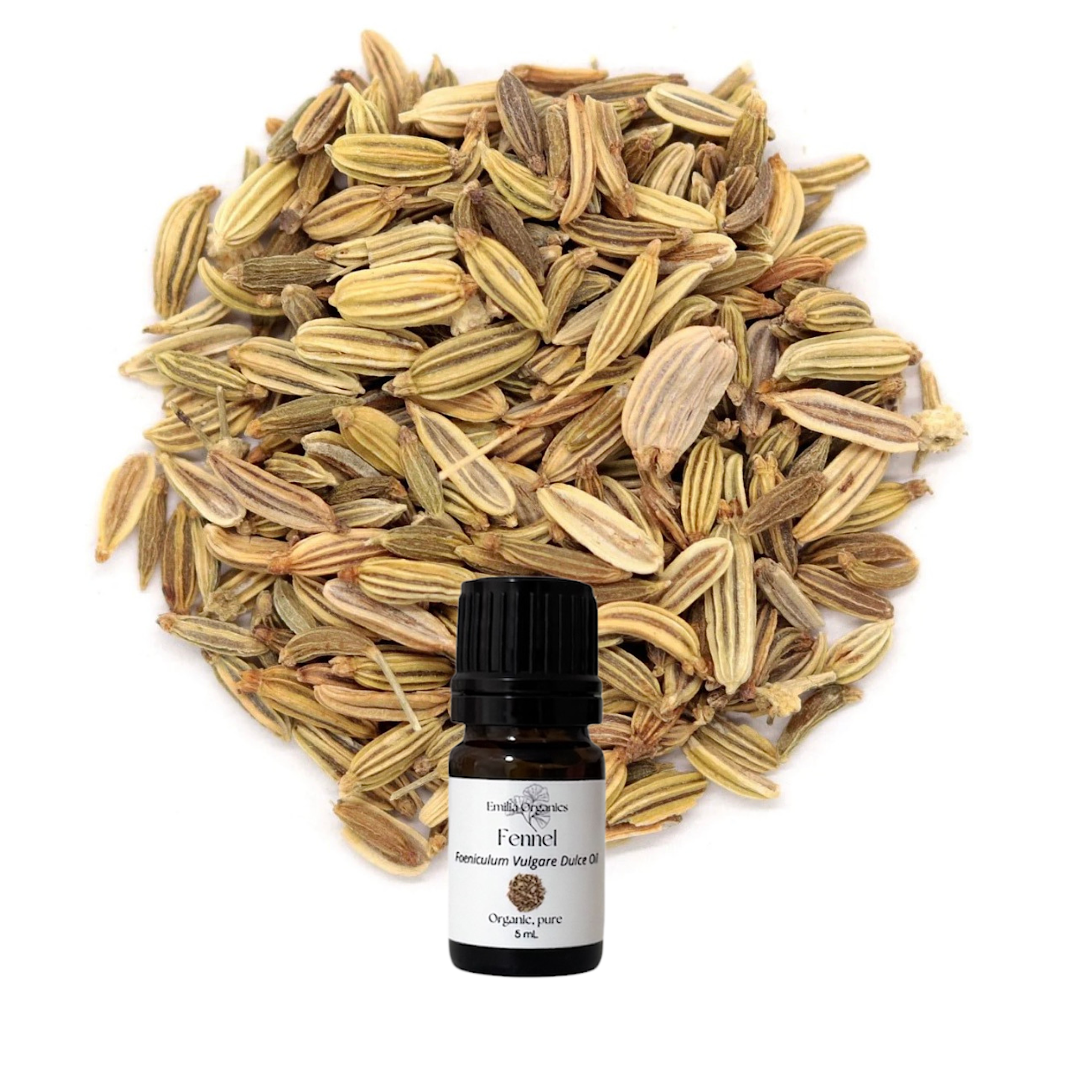Fennel Sweet Essential Oil, Organic, 100% Pure, Natural