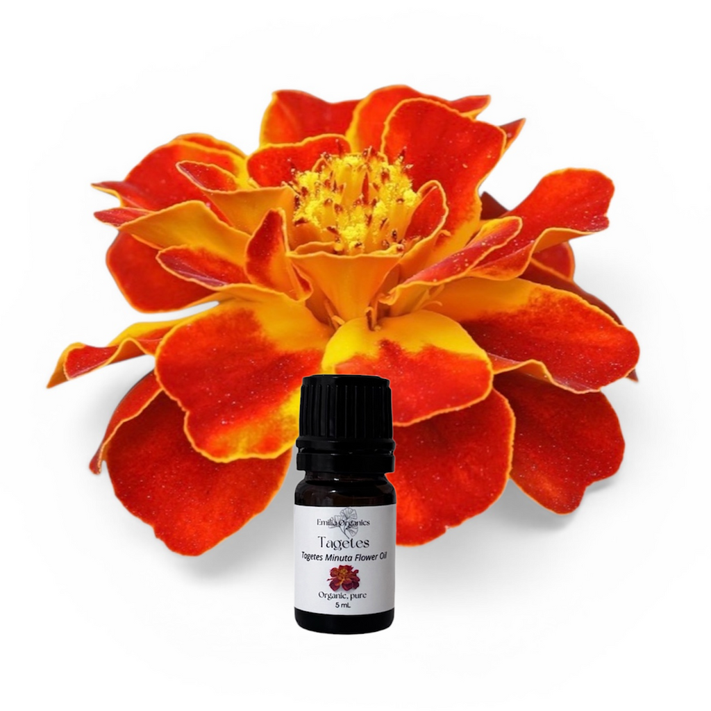 Tagetes Essential Oil, Organic, 100% Pure, Natural