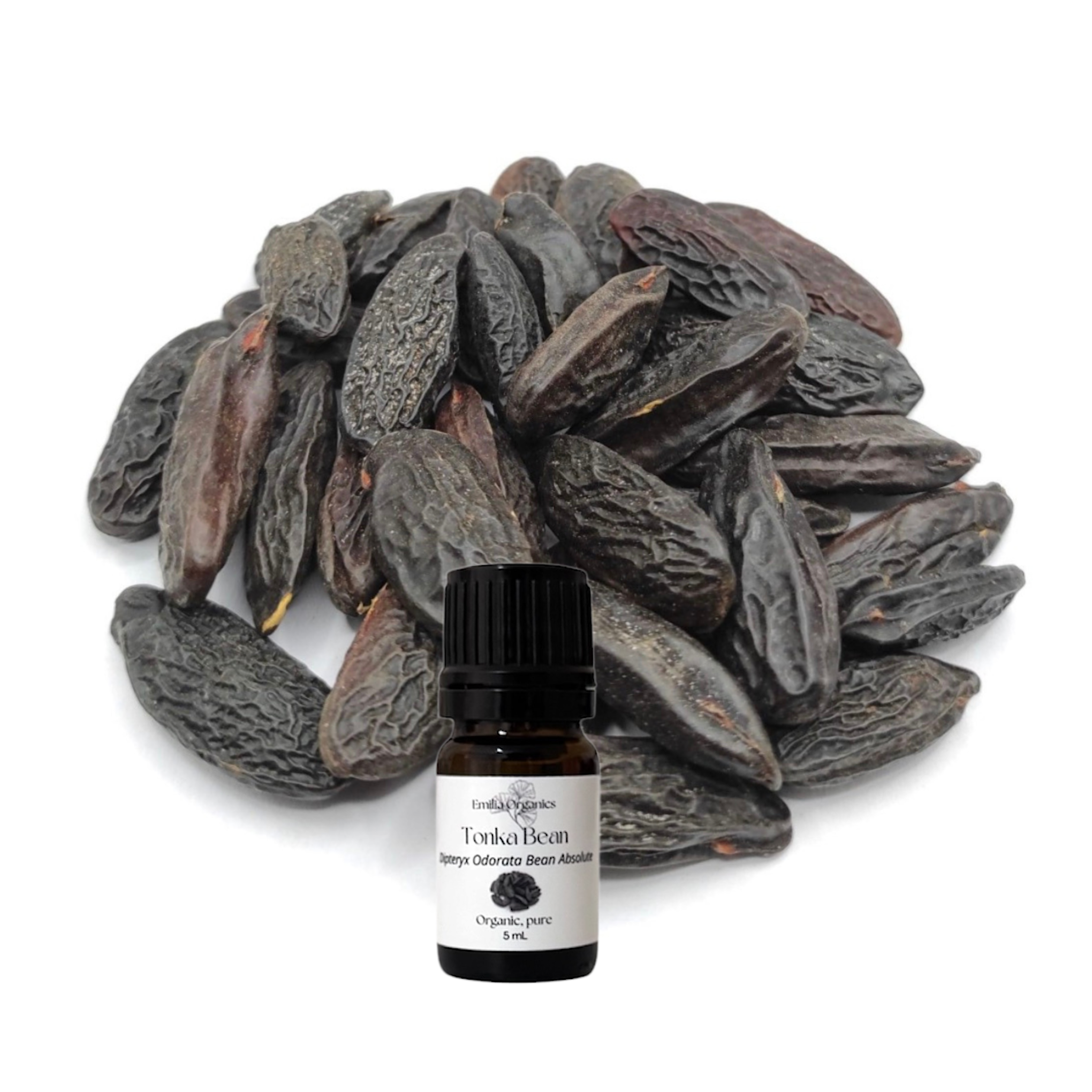 Tonka Bean Absolute Oil, Organic, 100% Pure, Natural