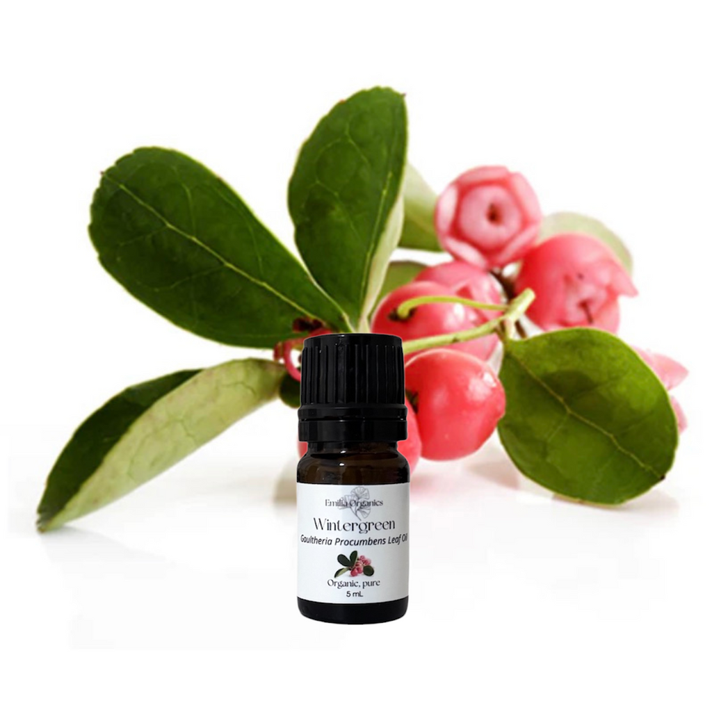 Wintergreen Essential Oil, Organic, 100% Pure, Natural