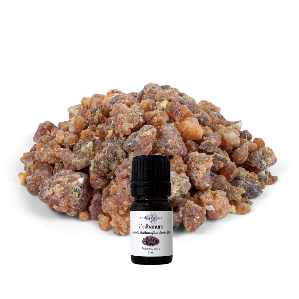 Galbanum Essential Oil, Organic, 100% Pure, Natural