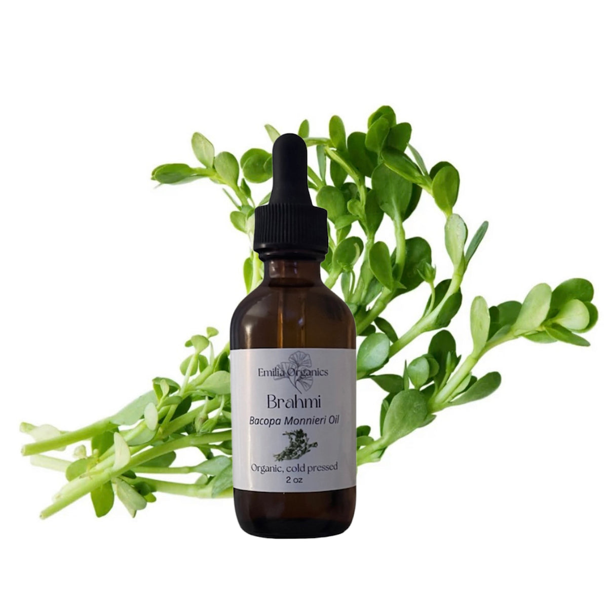 Brahmi Oil, Organic, Cold Pressed, Unrefined, Natural