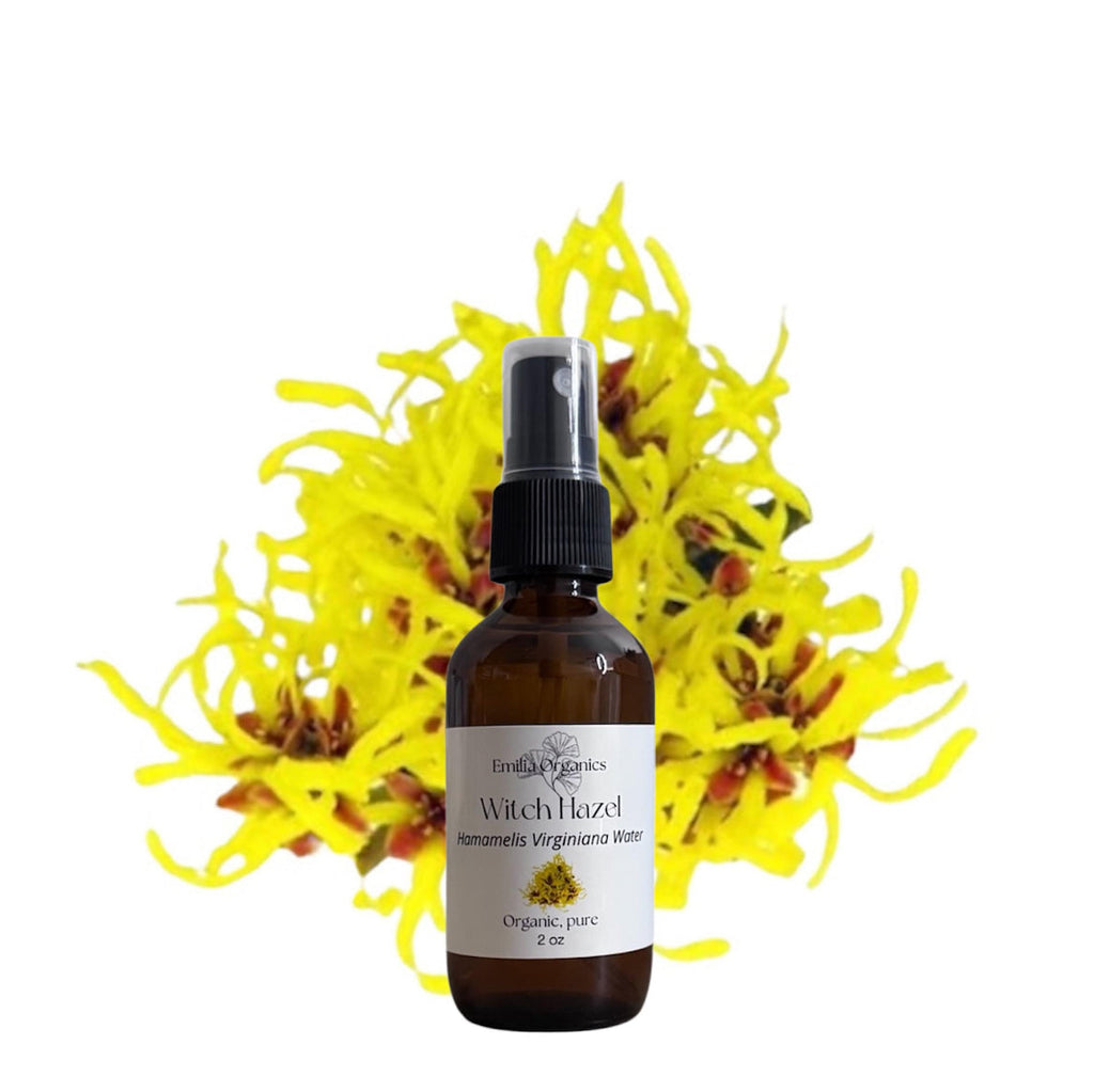 Witch Hazel Hydrosol, Organic, Pure, Natural