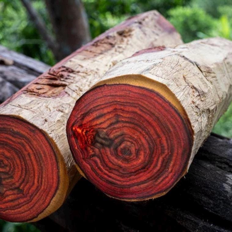 Rosewood Essential Oil, Organic, 100% Pure, Natural
