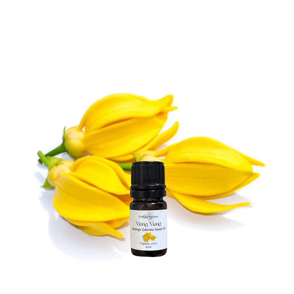 Ylang Ylang Essential Oil, Organic, 100% Pure, Natural