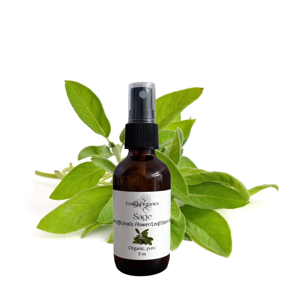 Sage Hydrosol, Organic, Pure, Natural
