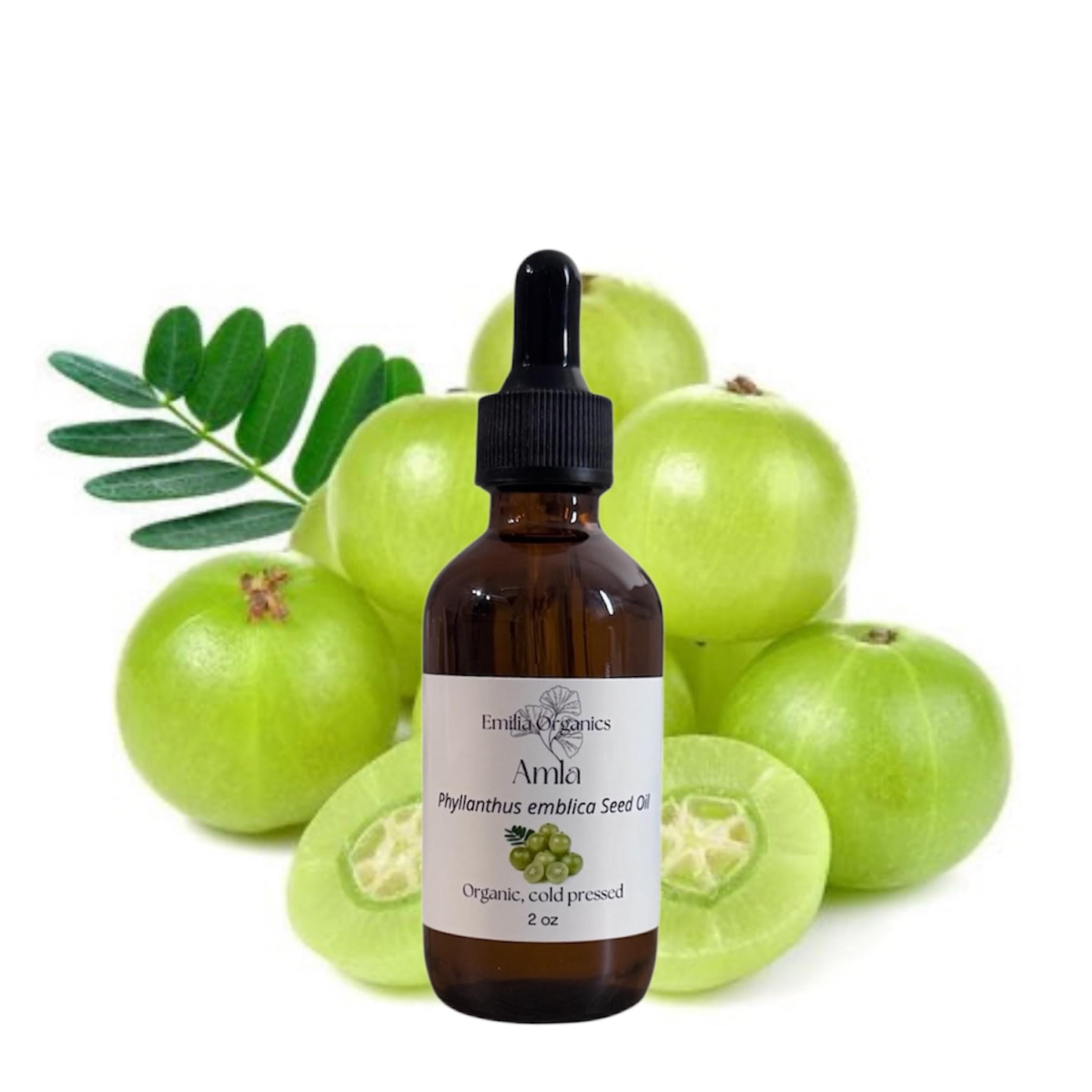 Amla Seed Oil, Gooseberry Oil, Organic, Cold Pressed, Unrefined, Natural