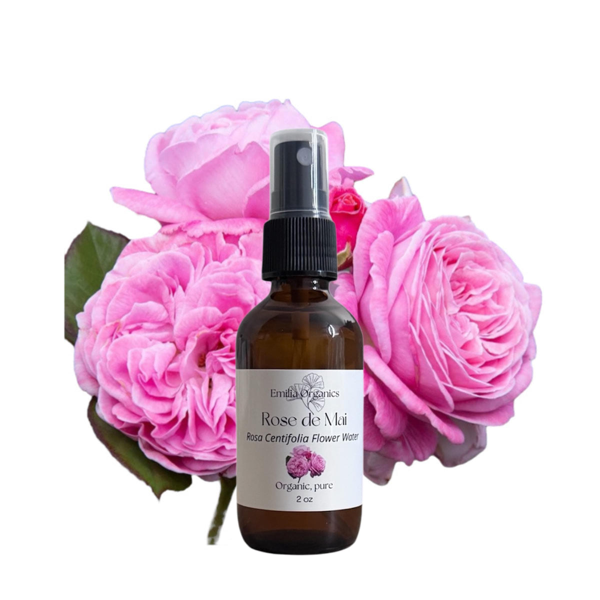 Rose Maroc Hydrosol, Organic, Pure, Natural