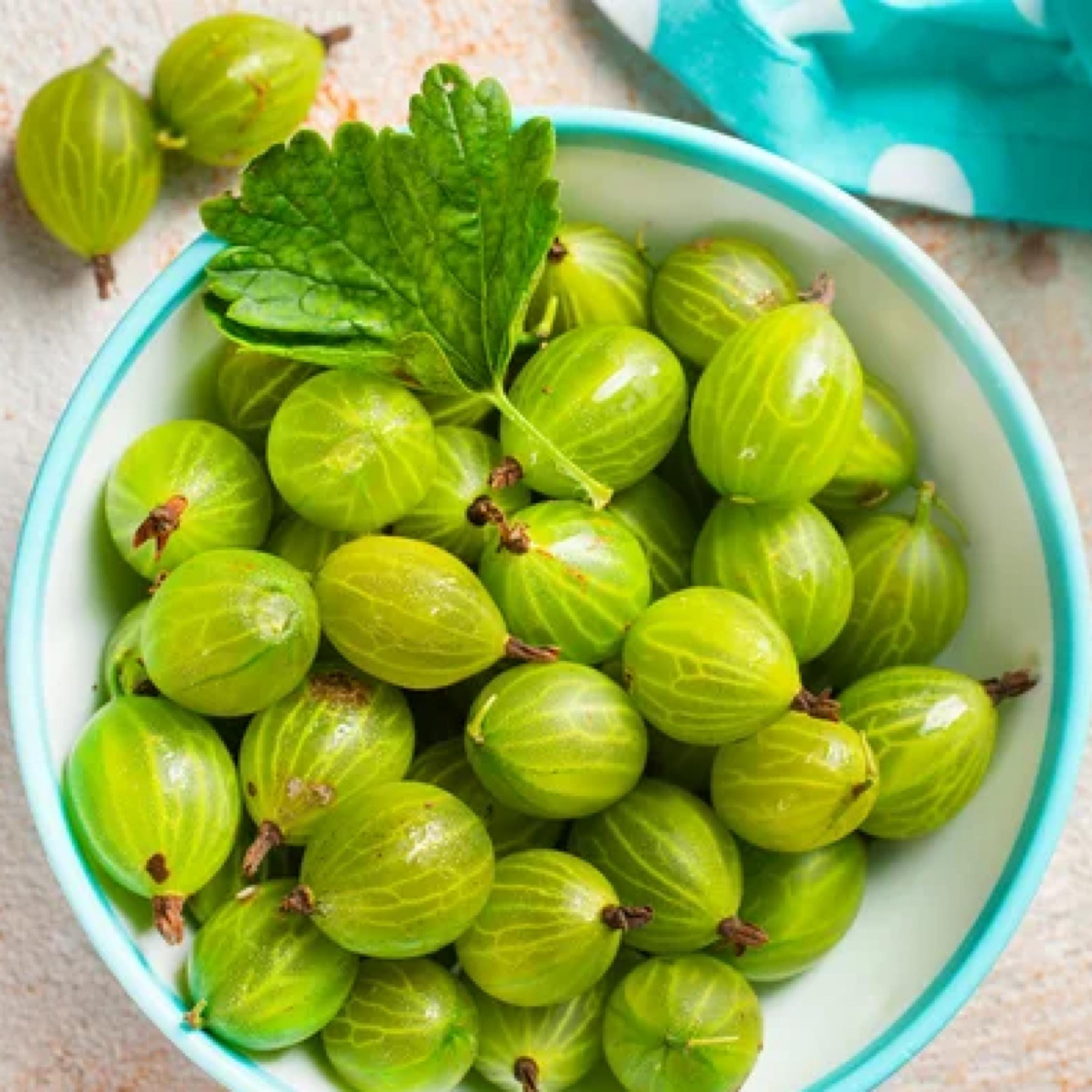 Amla Seed Oil, Gooseberry Oil, Organic, Cold Pressed, Unrefined, Natural