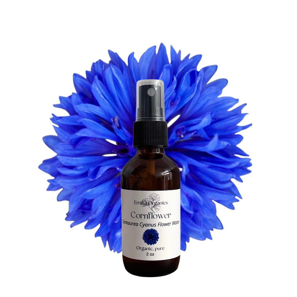 Cornflower Hydrosol, Organic, Pure, Natural
