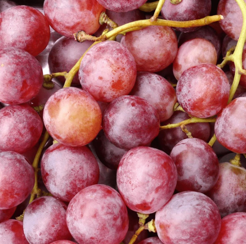 Grape Seed Oil, Organic, Cold Pressed,  Unrefined, Natural